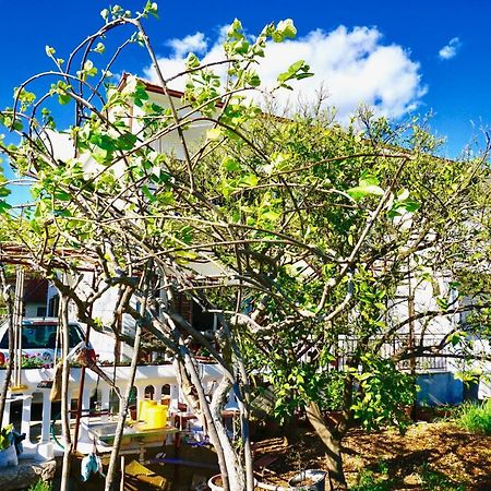 House Mariposa Hotel โตรกีร์ ภายนอก รูปภาพ