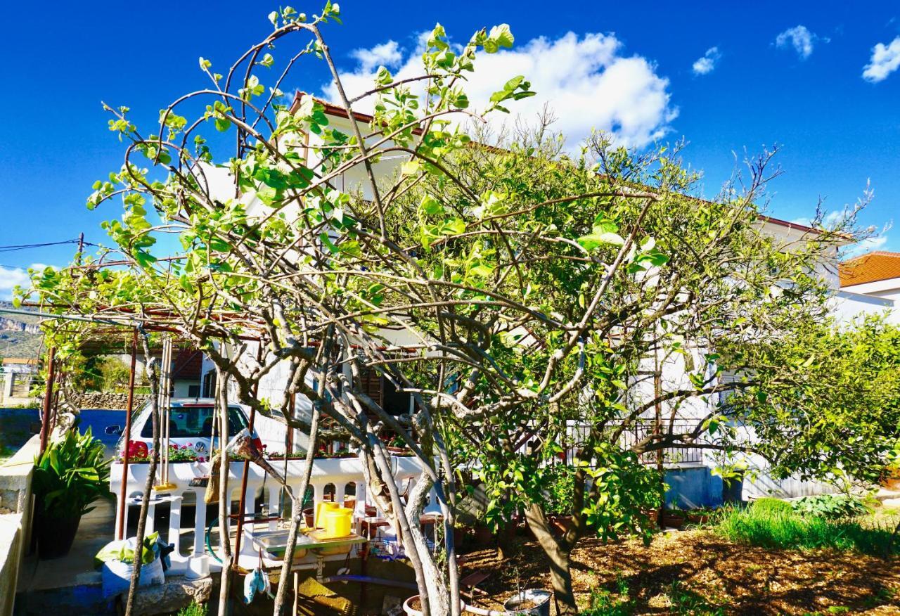House Mariposa Hotel โตรกีร์ ภายนอก รูปภาพ
